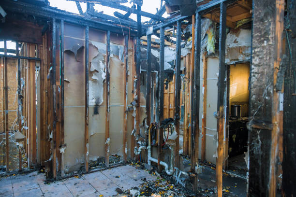 Professional Soot Cleanup technician working in Leesburg, OH